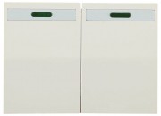 Выключатель СВЕТОЗАР SV-54435-B "ЭФФЕКТ" двухклавишный, с эффектом свечения, без вставки и рамки, цвет бежевый, 10A/~250B